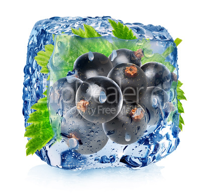 Black currant in ice