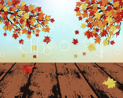 Autumn background