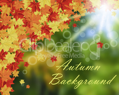 Autumn background