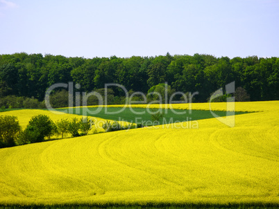 Landschaft im Kraichgau