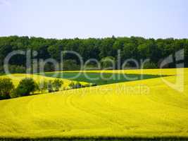 Landschaft im Kraichgau