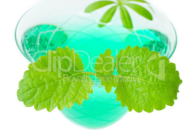 Glas Waldmeisterbowle mit Minze vor weißem Hintergrund