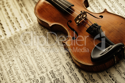 violin