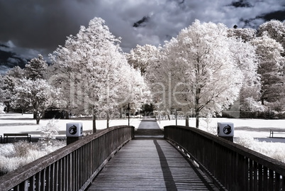 Brücke im Park