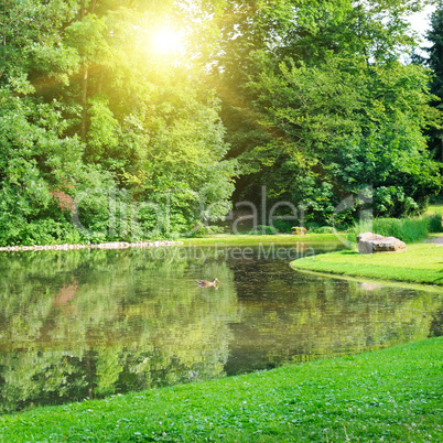 Summer park,   river, sunrise