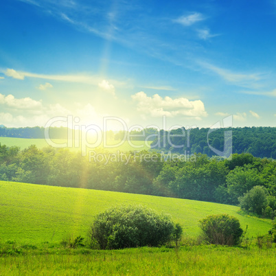 field, sunrise and blue sky