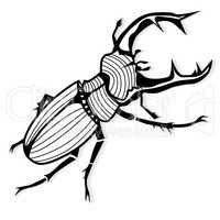 Male stag beetle, Lucanus cervus tattoo or for T-shirts