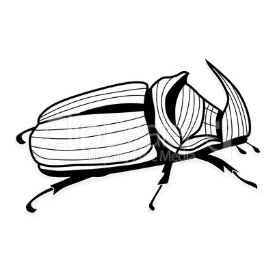 Rhinoceros beetle  tattoo or for T-shirts