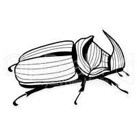 Rhinoceros beetle  tattoo or for T-shirts
