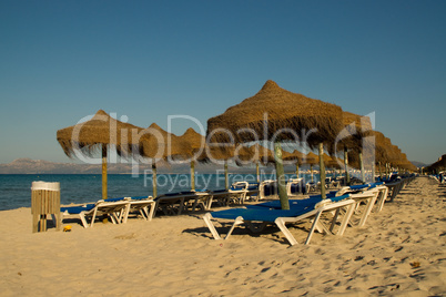 Sonnenliegen am Strand von Alcudia auf Mallorca