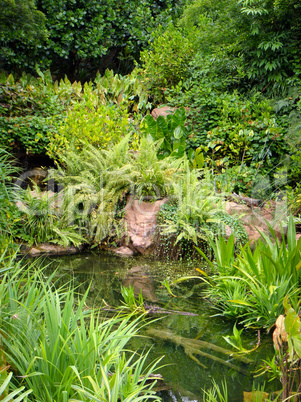 Park Teich Dschungel tropisch