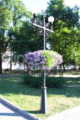 Lanterns in city park with hanging flowers