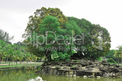 recreation park in the lake