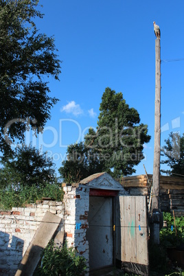 stork standing on the rural telegraph-pole above the cellar