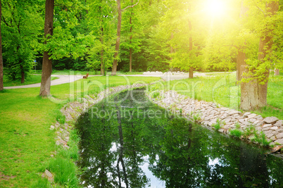 Stretch of water in the summer park