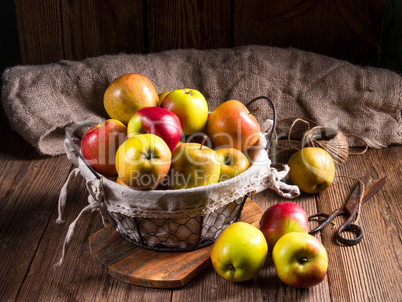 Fresh autumn apples in the basket