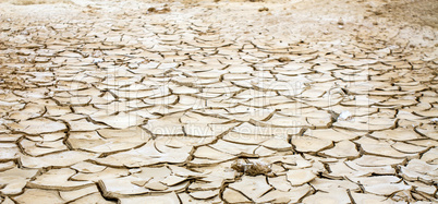 Photo of dry and cracked earth .