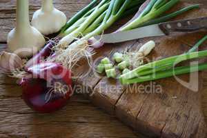 Rote Zwiebel, Knoblauch und Frühlingszwiebel auf Schneidebrett