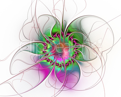 Abstract fractal design. Surreal flower on white.