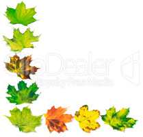 Letter L composed of multicolor maple leafs
