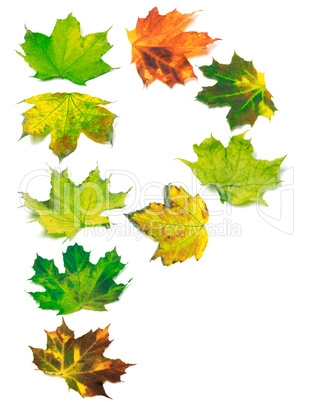 Letter P composed of multicolor maple leafs