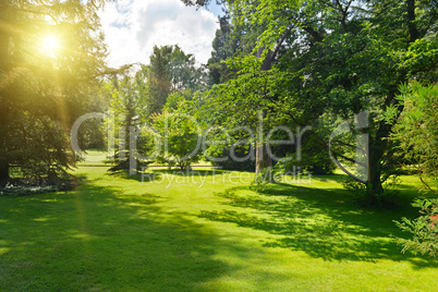 Sunrise in beautiful park