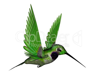 Black hummingbird - 3D render