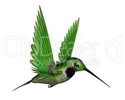 Black hummingbird - 3D render