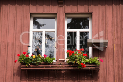 kleines Fenster mit Blumenkasten im Harz