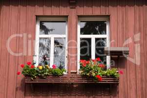 kleines Fenster mit Blumenkasten im Harz
