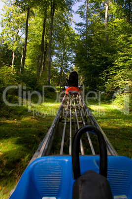 sommerrodelbahn Wald blau Schlitten