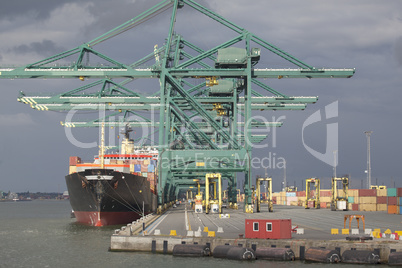 Containerschiff an einem Containerterminal  im Hafen von Antwerp