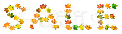 Word SALE composed of autumn maple leafs