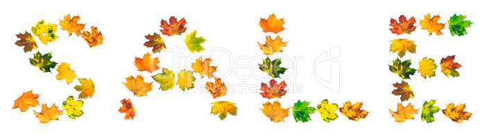 Word SALE composed of autumn maple leafs