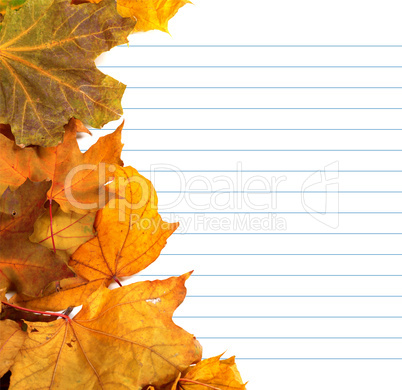 Autumn maple-leafs and notebook paper