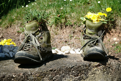 Alte Wanderstiefel mit Blumen im Garten