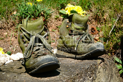 Alte Wanderstiefel mit Blumen im Garten