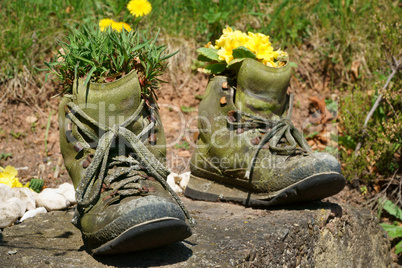 Alte Wanderstiefel mit Blumen im Garten