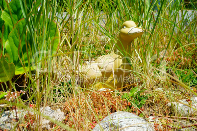 Dekoente steht im Gartenbeet