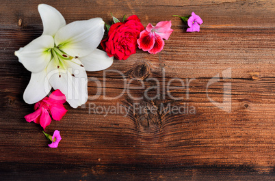 Blumen auf  Holz Hintergrund