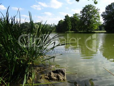 See im Schönbusch