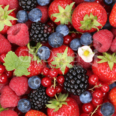 Früchte Beeren Hintergrund mit Erdbeeren, Himbeeren und rote Jo