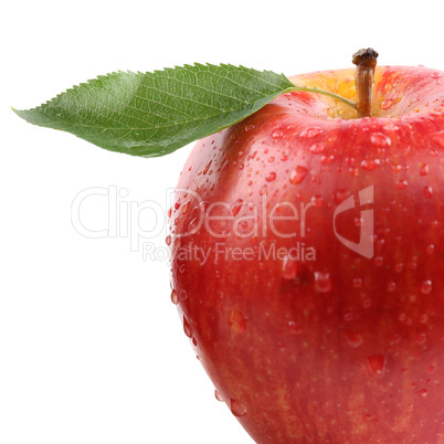 Macro roter Apfel Frucht mit Blatt Freisteller