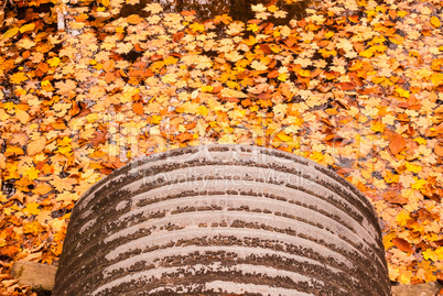 Pipe emptying into autumn leaves on water