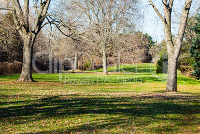 Empty park grass field and trees casting shadows