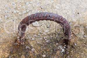 Rusted curved metal loop in concrete
