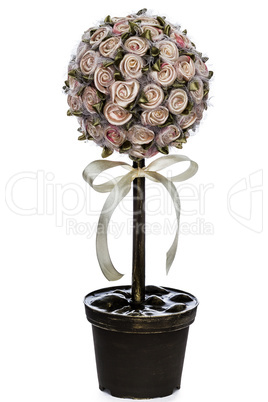 Topiary tree, tree of happiness, decorative tree, isolated on wh