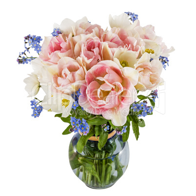 Bouquet of flowers in a vase, tulips and forget-me-not, isolated