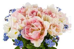 Bouquet of tulips and forget-me-not, isolated on white backgroun