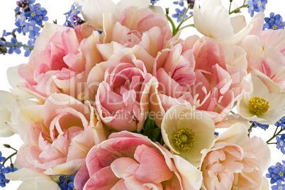 Beautiful background of flowers, close-up